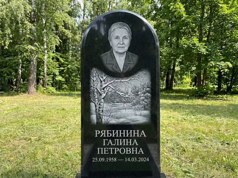 Памятник с гравировкой берёзы: стела с плавным арочным верхом — зимняя берёза, снег на ветвях, газон без ограды, стриженая трава, работа «Рябинина» в Саратове